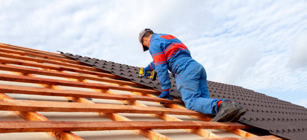 Best Roof Insulation Installation  in Alto, GA