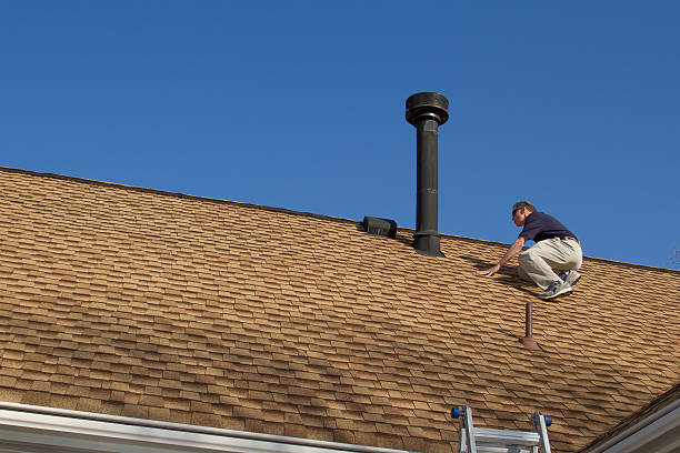 Best Roof Repair  in Alto, GA